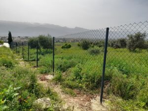 Waha-Garden
