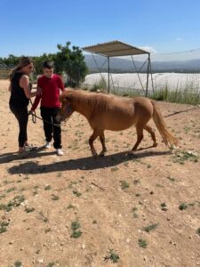 Schüler auf der Farm von Wahat al-Farah